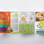 TSL-Brochure-700x460